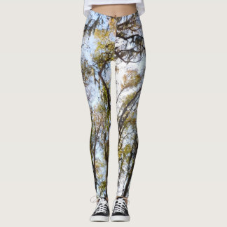 leggings van de boom yoga