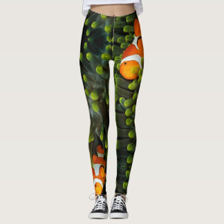 Leggings van gekalkte vis