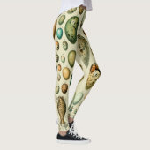 Leggings Vintage Bird Eggs French Fish Egg (Droite)