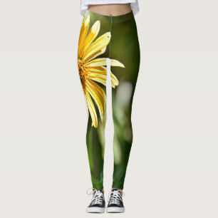 Leggings voor zonnebloemen