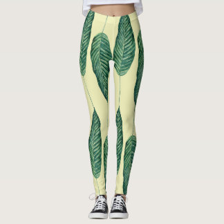 Leggings Where Is Wake Forest