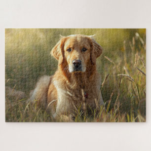Legpuzzel Gouden Retriever