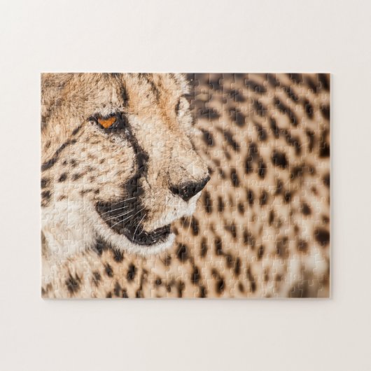 Legpuzzel Portret van een Cheetah (Horizontaal)
