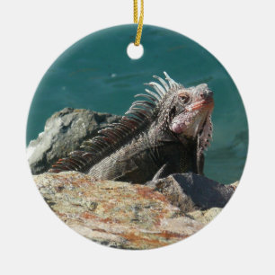 Leguaan bij St. Thomas Keramisch Ornament