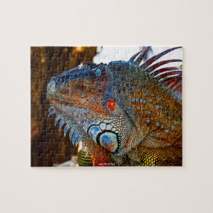 Leguaan Florida Keys Legpuzzel