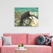 Leguaan op de rotsen bij St. Thomas Canvas Afdruk (Insitu (Woonkamer))