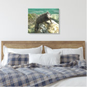 Leguaan op de rotsen bij St. Thomas Canvas Afdruk (Insitu (Slaapkamer))