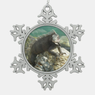 Leguaan op de rotsen bij St. Thomas Tin Sneeuwvlok Ornament