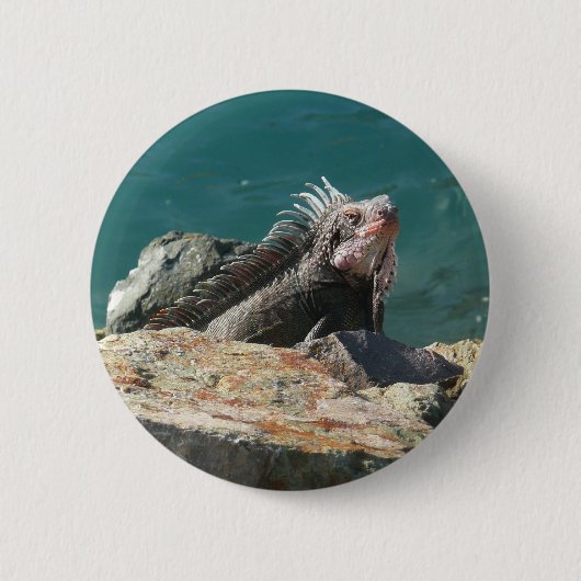 Leguaan op St. Thomas Ronde Button 5,7 Cm (Voorkant)