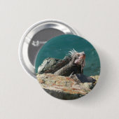 Leguaan op St. Thomas Ronde Button 5,7 Cm (Voorkant /achterkant)