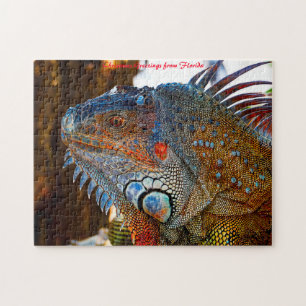 Leguaanhagedis Florida . Kerstgroeten Legpuzzel