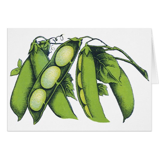 Légumes Anciens; Haricots de Lima, Aliments de Fer (Devant horizontal)