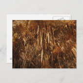 Lehman Cave Briefkaart (Voorkant / Achterkant)