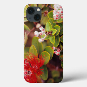 Lehua bloesems in Hawaï-vulkanen iPhone 13 Hoesje