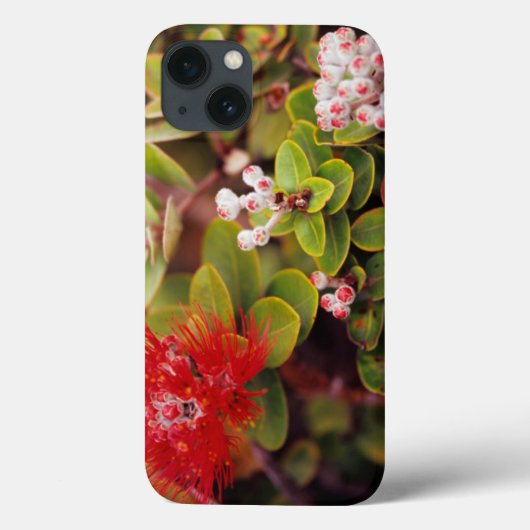 Lehua bloesems in Hawaï-vulkanen Case-Mate iPhone Case (Achterkant)