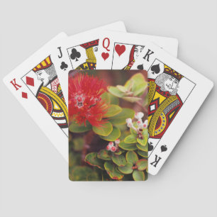 Lehua bloesems in Hawaï-vulkanen Speelkaarten