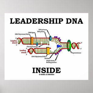 Leiderschaps-DNA Inside (biologie Attitude) Poster