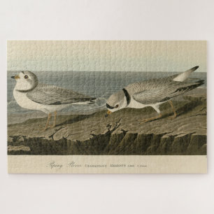 Leiding van de Amerikaanse vogels van Audubon Legpuzzel