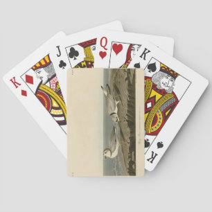 Leiding van de Amerikaanse vogels van Audubon Pokerkaarten
