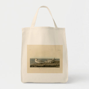 Leiding van de Amerikaanse vogels van Audubon Tote Bag