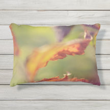 Leidingen in de wind