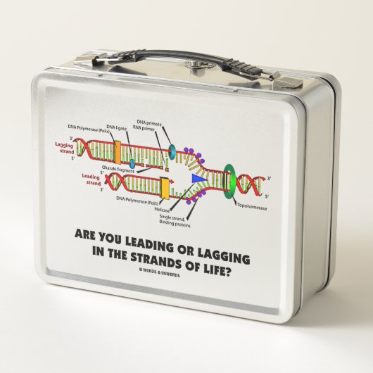 Leidt u of sleept u in de verschillende levensvorm (Achterkant)