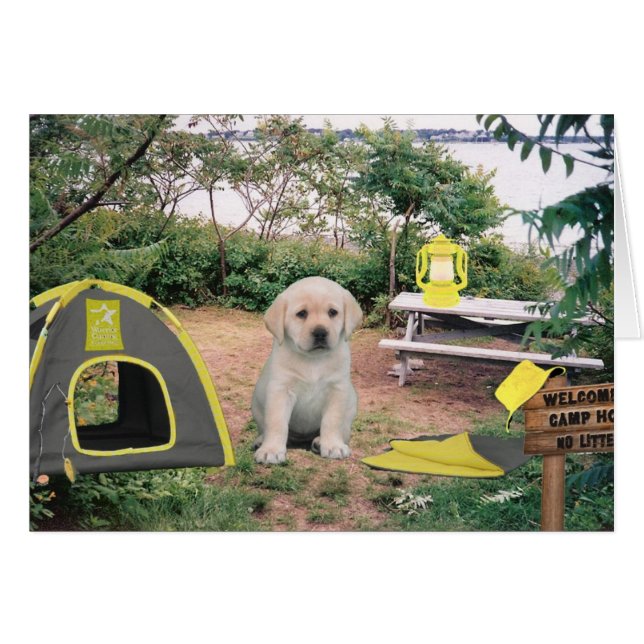 Leigh Ann week 6 (Voorkant Horizontaal)