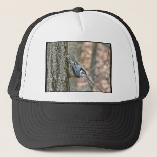 Leistgrijze Nuthatch Songbird Coordinated Items Trucker Pet
