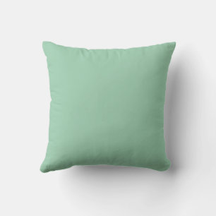 Lekkere Mintgroene Effen Kleur Kussen