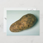 lekkernij briefkaart (Voorkant / Achterkant)