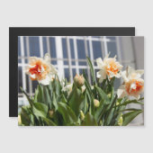 Lektige schattige veer (Voorkant / Achterkant)