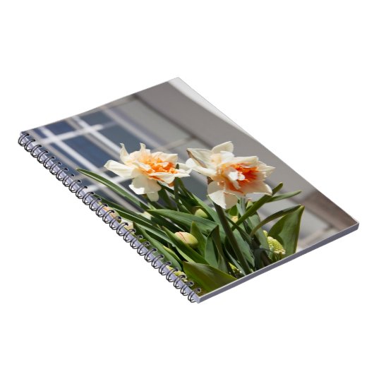 Lektige schattige veer notitieboek (Rechterzijde)