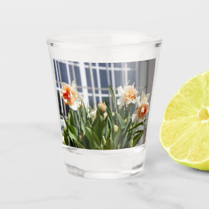 Lektige schattige veer shot glas
