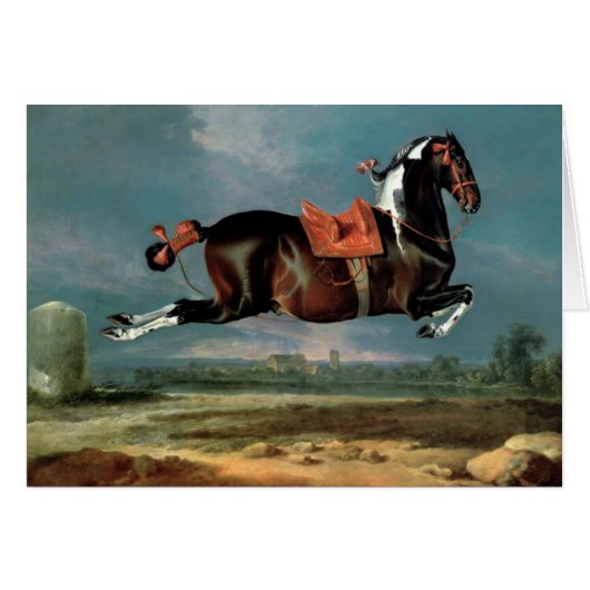 L'élevage du Cheval Piebald "Cehero" (Devant horizontal)