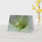 Lelie 1 Kaart (Gele Bloem)