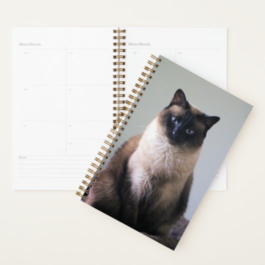 Lelie Planner (Display)