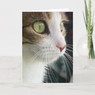 Lelie Wenskaart 03 van de Kat Kaart