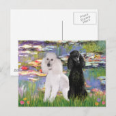 Lelies2-Standaard Poedels (zwart en wit) Briefkaart (Voorkant / Achterkant)