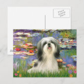 Lelies (#2) - Shih Tzu #3 Briefkaart (Voorkant / Achterkant)
