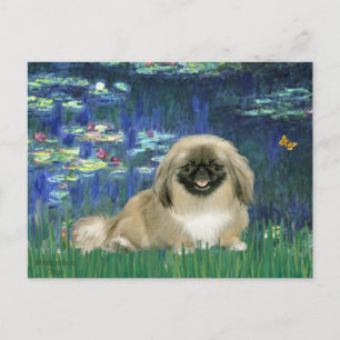 Lelies 5 - Pekingees 1b Briefkaart