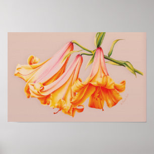 "Lelies" fijnkunst botanische posterprint Poster