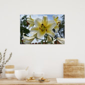  lelies poster (Keuken)