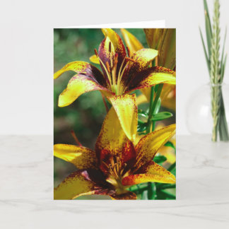 lelies van de gebieden kaart