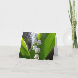 Lelietje-van-dalen Notecard Kaart