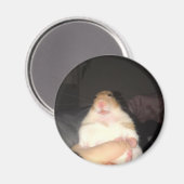 Lelijk hamster meme magneet (Voorkant / Achterkant)