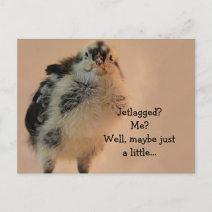 lelijk kuiken briefkaart