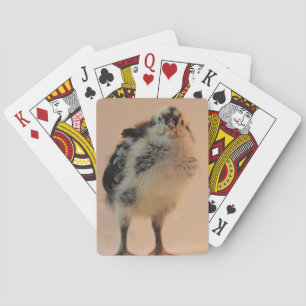 Lelijke Kuiken Speelkaarten