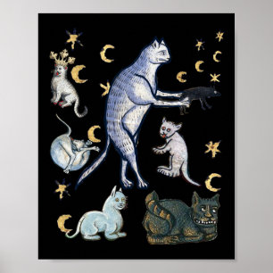 Lelijke middeleeuwse katten poster