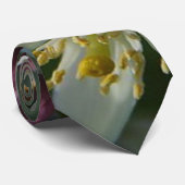 Lemon Blossom Stropdas (Opgerold)