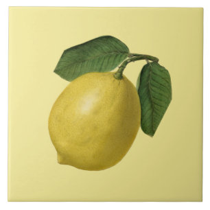 Lemon Botanisch ~ Keuken ~ Elke kleurachtergrond Tegeltje